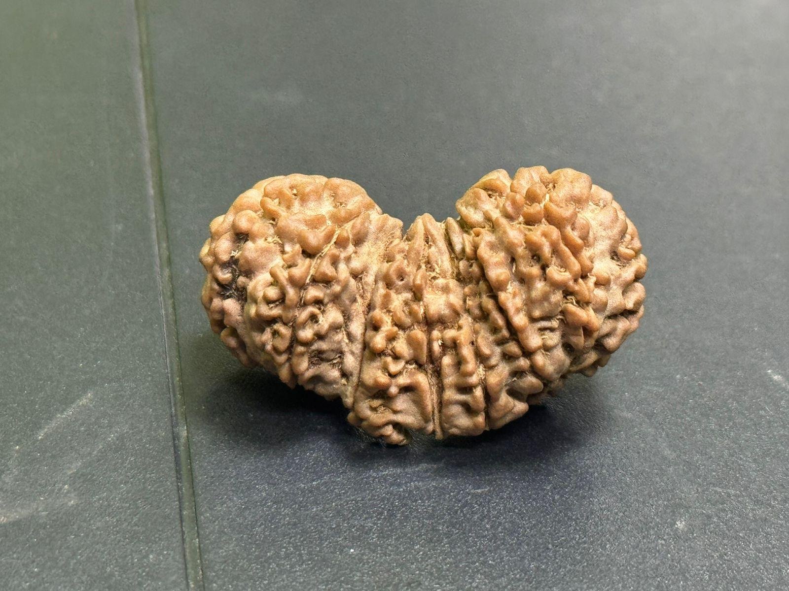 ganesh_rudraksha